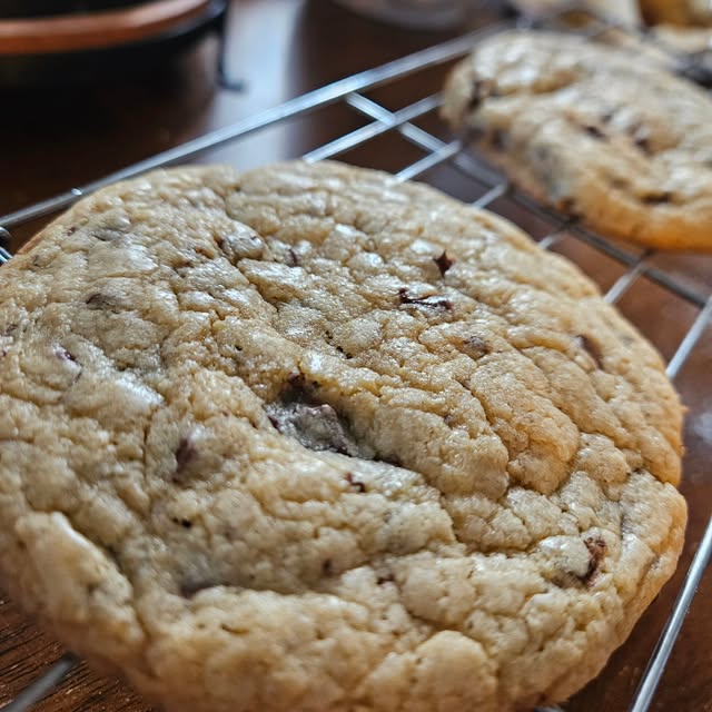 Classic golden chocolate chip cookie with crinkly top